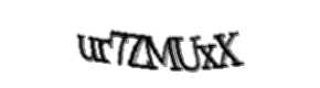 Security check image, please type the characters shown