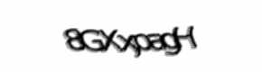 Security check image, please type the characters shown